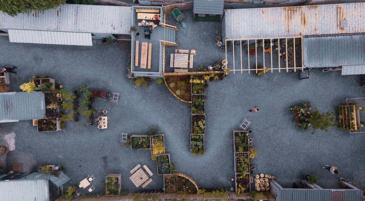 Pots and planters in the Blue Cedar yard