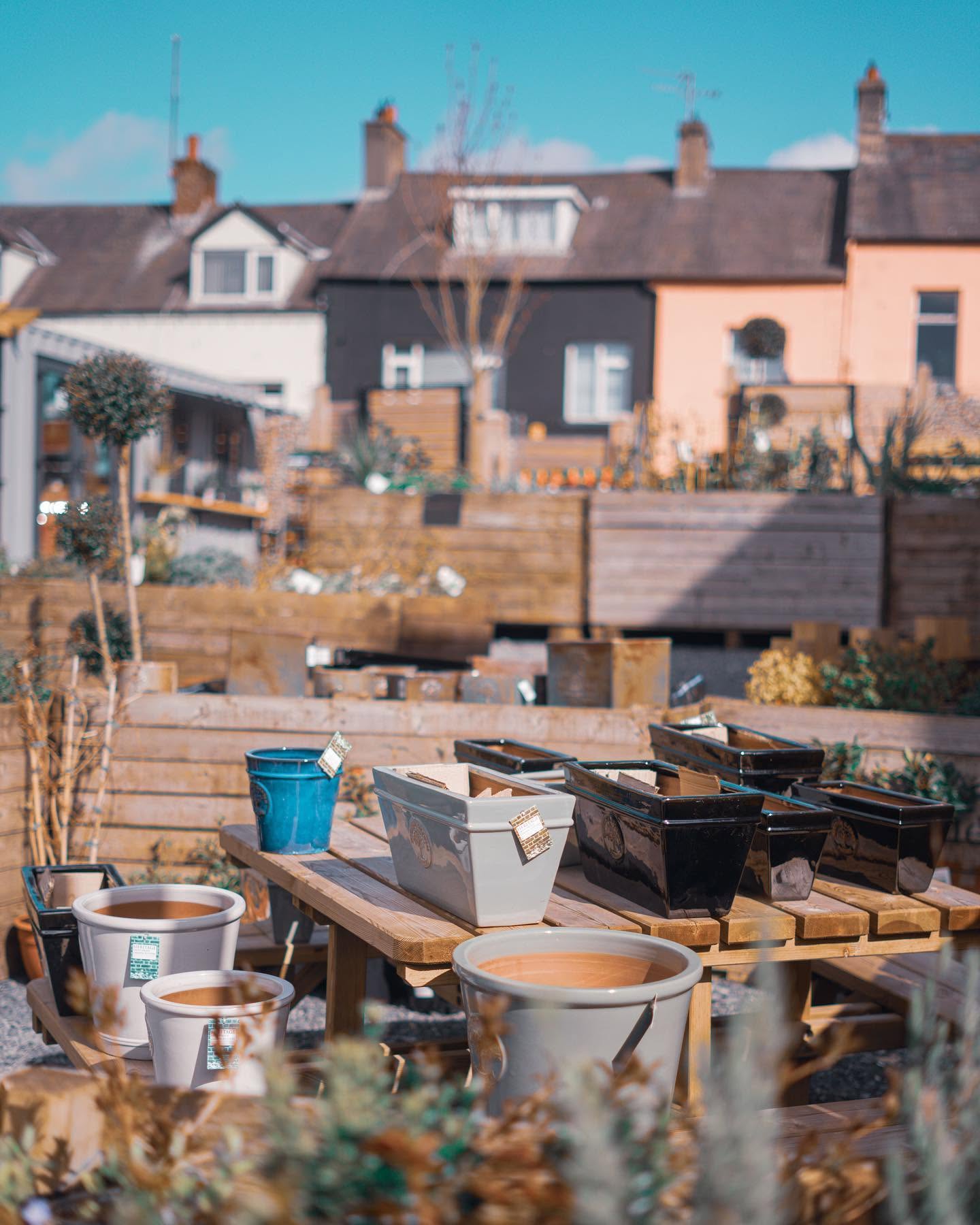 Around the yard at Blue Cedar