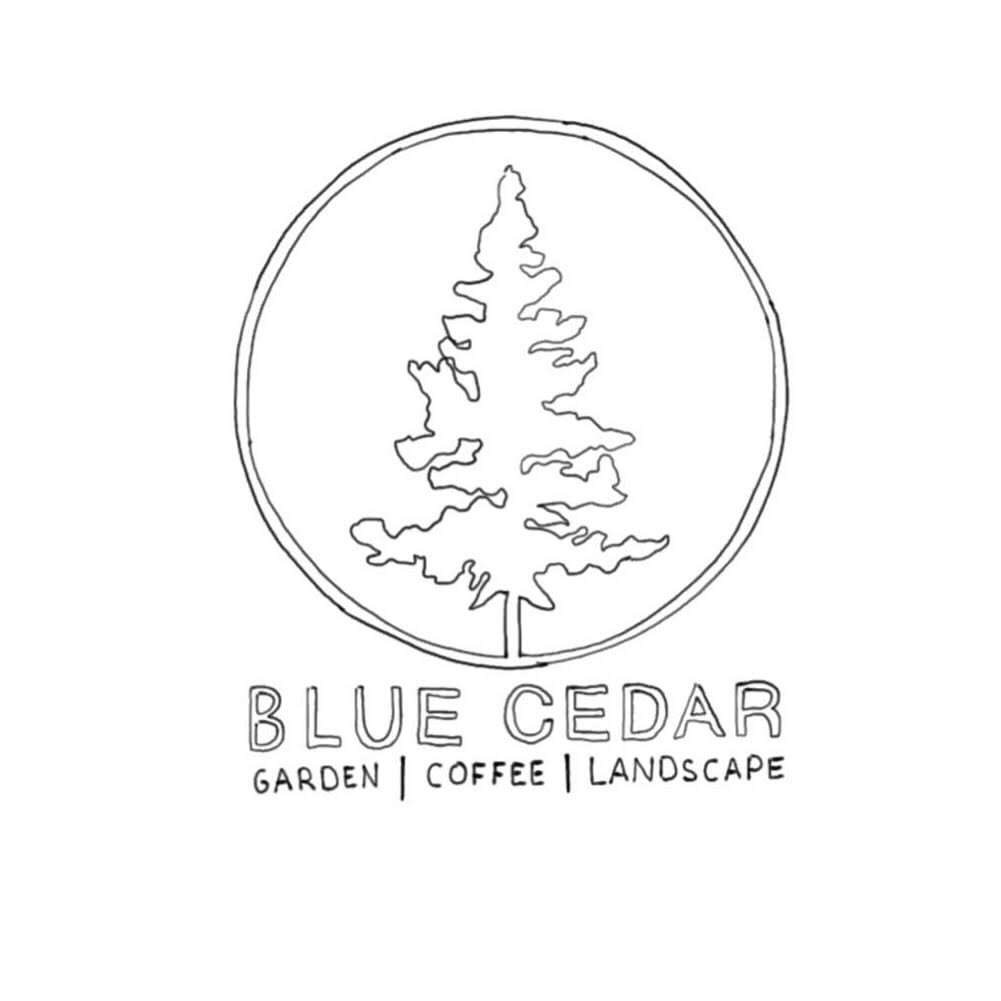 Blue Cedar logo