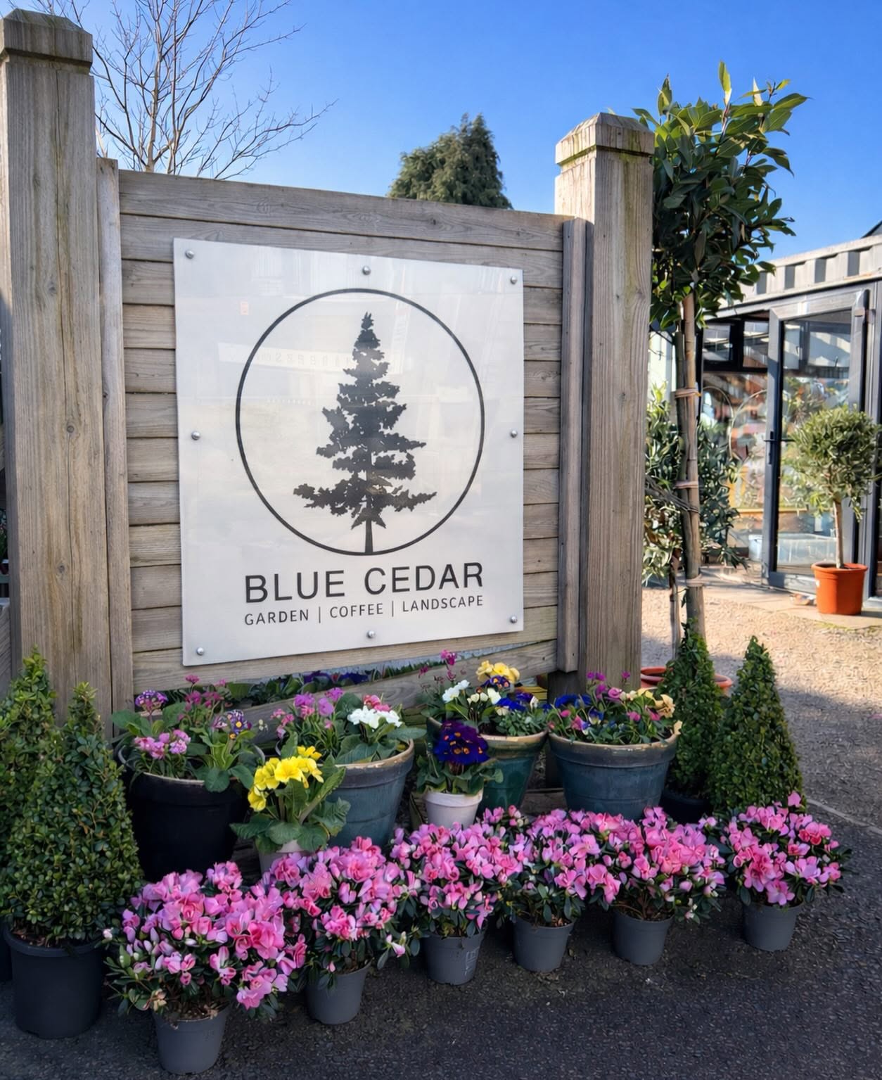 Blue Cedar entrance sign surrounded by potted flowers